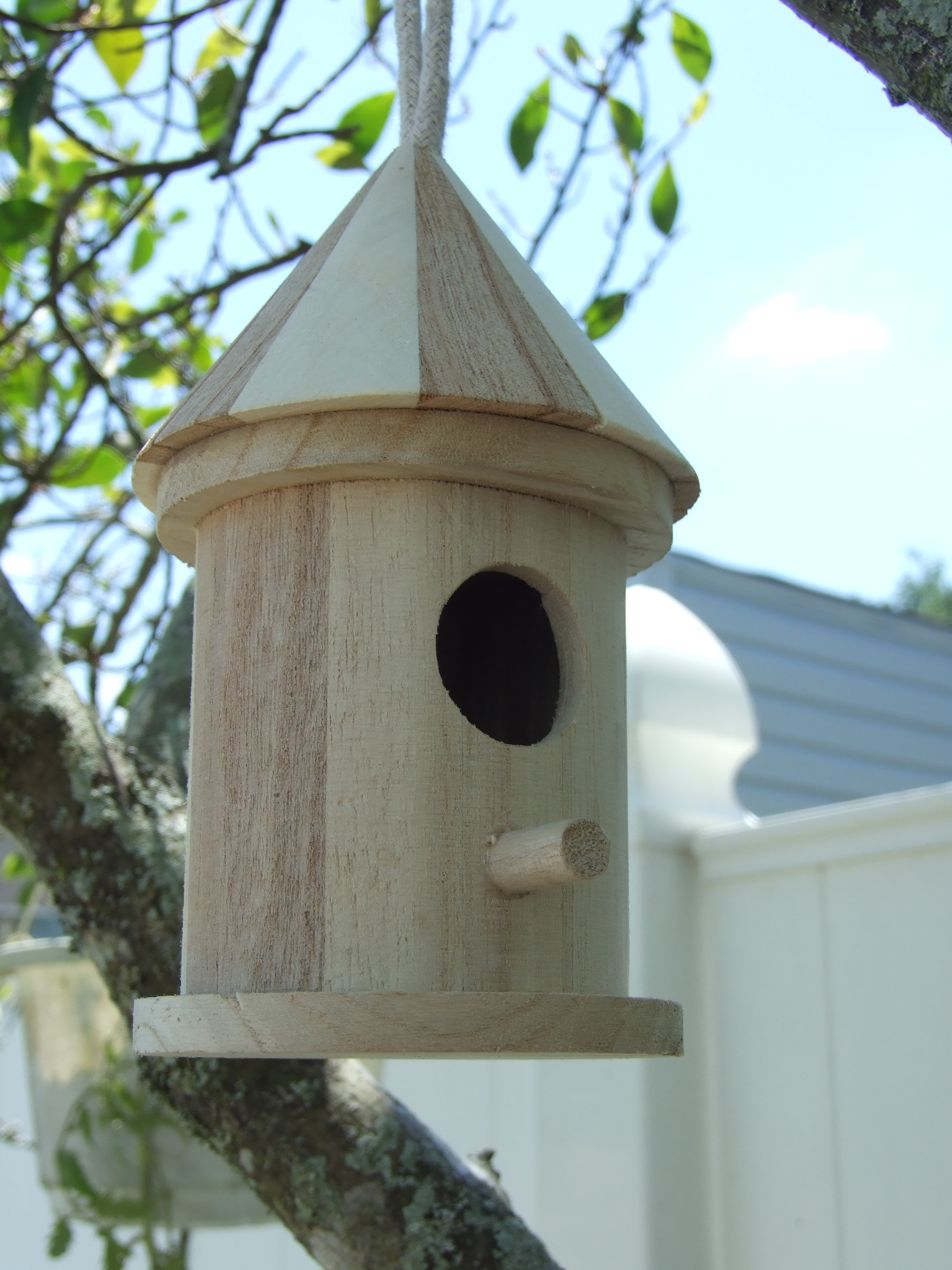 Unfinished wood bird house!